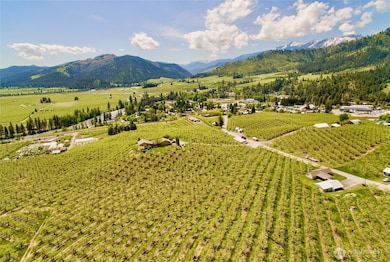 855 X Larson Rd, Peshastin, WA 98847 - photo 5