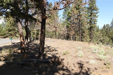 63268 Cherokee Ln, Bend, OR 97701 - photo 3