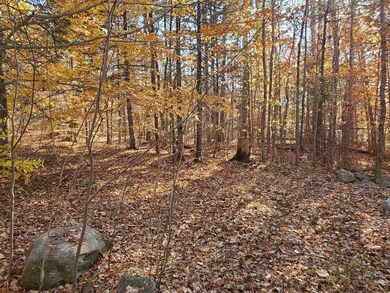 00 Keyser Rd, Center Harbor, NH 03226 - photo 7