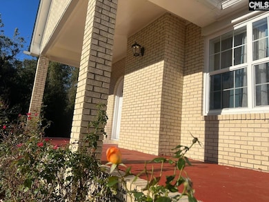 172 S Pine St, Batesburg, SC 29006 - photo 7