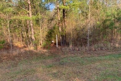 Lot 49 Eagle Point, Lincolnton, GA 30817 - photo 5