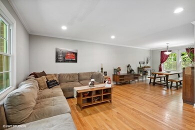 226 Tupelo Ave, Naperville, IL 60540 - photo 4