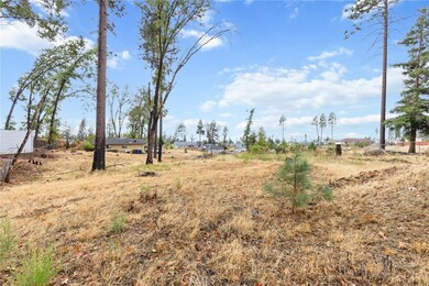 888 Thomasson Ln, Paradise, CA 95969 - photo 7