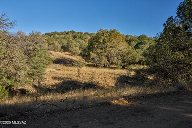 TBD Paradise Rd unit 10, Portal, AZ 85632 - photo 4