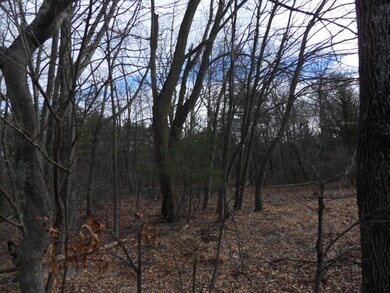 68 Depot St, Douglas, MA 01516 - photo 4