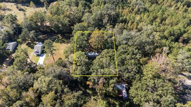 159 W Notre Dame St, Monticello, FL 32344 - photo 6