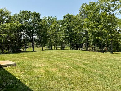 IMG_0052 2