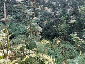 0 Melcher St unit NWM2458297, Port Orchard, WA 98366 - photo 3