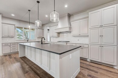 1089 Eagles Bluff Dr, Weatherford, TX 76087 - photo 3