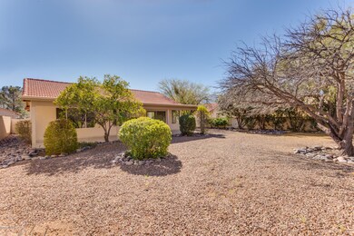 Extended Rear Yard