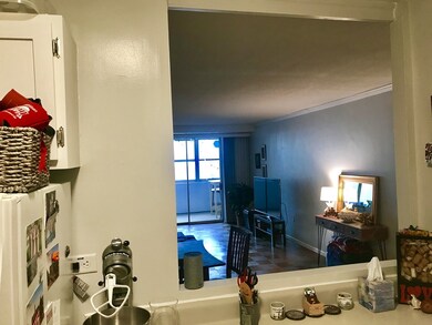 9 Hawthorne Place unit 4R, Boston, MA 02114 - photo 5