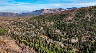 2503 Wild Bill Rd, Kila, MT 59920 - photo 5