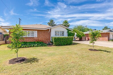 BEAUTIFUL FRONT LAWN