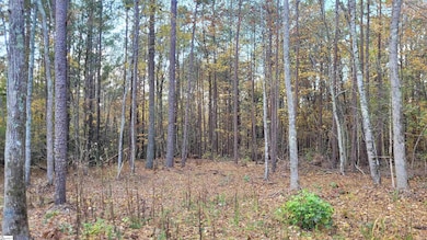 3082 State Road S-30-82, Laurens, SC 29360 - photo 6