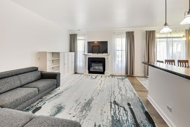 2133 Limestone Ln unit 775, Carpentersville, IL 60110 - photo 4