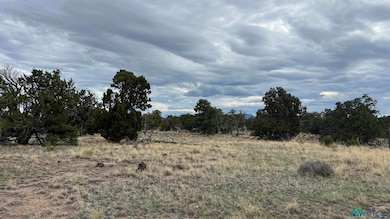 View of nature with rural landscape