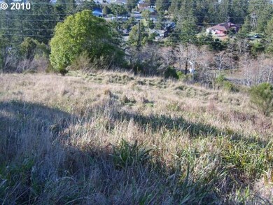 29689 Bear Mountain Rd, Gold Beach, OR 97444 - photo 2