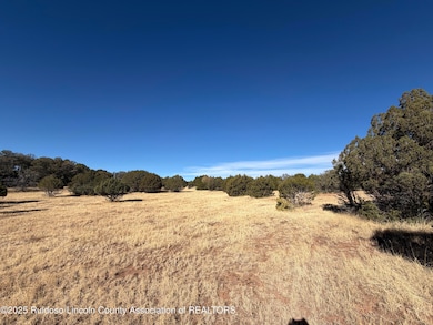 102 Tiwa Trail, Alto, NM 88312 - photo 7