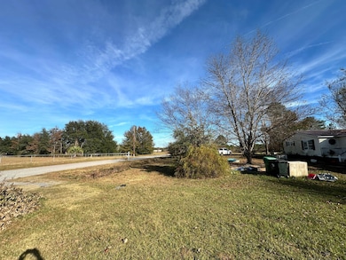 308 Michelle St, Eutawville, SC 29048 - photo 4