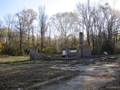 1366 County Road 47, Tuskegee, AL 36083 - photo 3