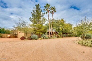 Huge front yard