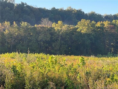 There's a clearing beyond the first set of trees