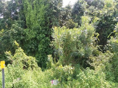 0 Bruns St unit S5074093, Saint Cloud, FL 34771 - photo 5