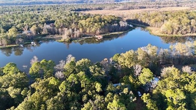 172 Beach Rd, Camden, AL 36726 - photo 5