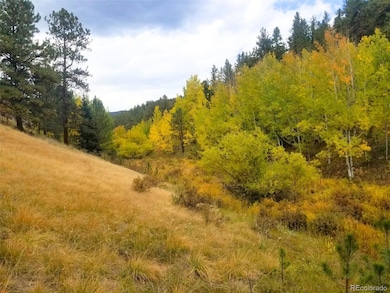 342 & 366 Brown Rd unit 70,71,72,73, Bailey, CO 80421 - photo 4