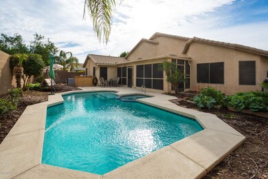 02- BACKYARD POOL