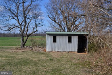 16195 Germanna Hwy, Culpeper, VA 22701 - photo 5