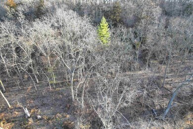 138 Peerless Rd, New Glarus, WI 53574 - photo 5