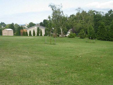 Yard/Garden.
