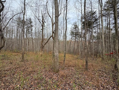 0 Pine Knoll Farms unit 104190, Stuart, VA 24171 - photo 6