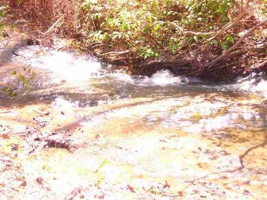 209 W H 7, Salem, SC 29676 - photo 4