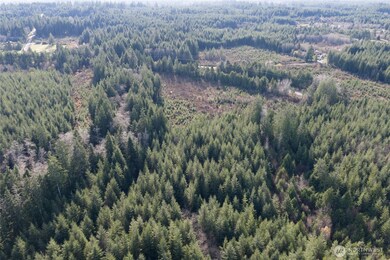 0 NKA Highway 101, Hoquiam, WA 98550 - photo 4