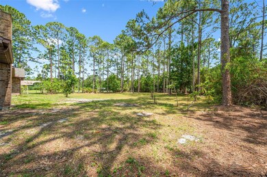 Wooded Lot