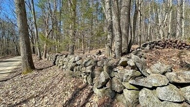 0 Carter Pond Rd, Petersham, MA 01366 - photo 7