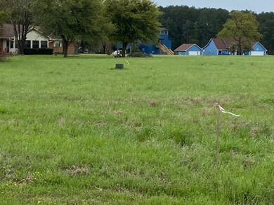 45 Meadowview Dr, Westwood Shores, TX 75862 - photo 4