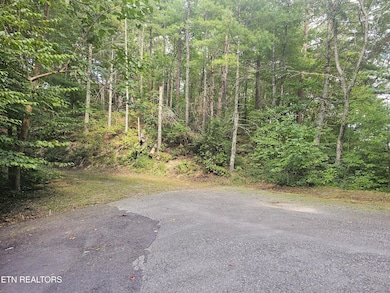 Entrance Drive to Lot - 3