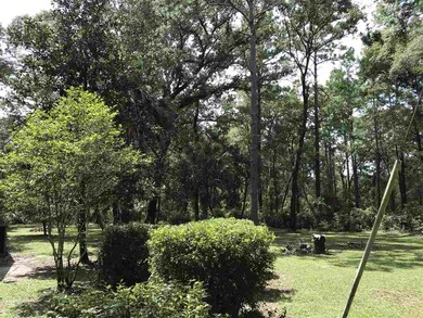 4726 Crawfordville Hwy, Crawfordville, FL 32327 - photo 6