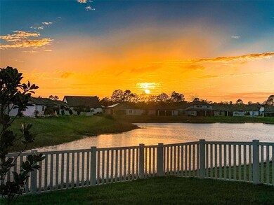 Amazing Backyard Sunset Views