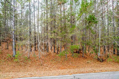 TRACT 1 Rose Creek Rd, Eatonton, GA 31024 - photo 4