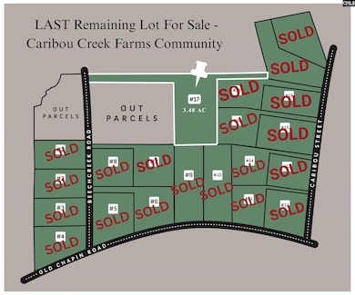 1256 Beechcreek Rd, Lexington, SC 29072 - photo 4