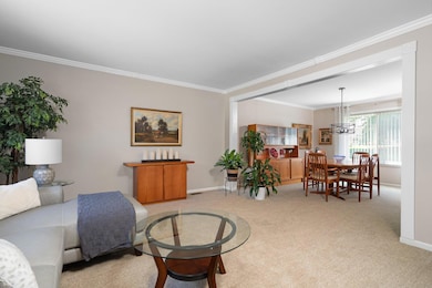 28-web-or-mls-DSC09523
