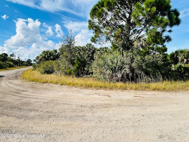 0000 Anjar Ave, Palm Bay, FL 32908 - photo 7