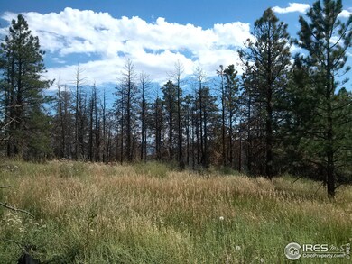 0 Little Whale Rd unit 698616, Bellvue, CO 80512 - photo 3