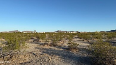 IMG_1333