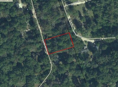 36 Marsue Dr unit 1, Crawfordville, FL 32327 - photo 2