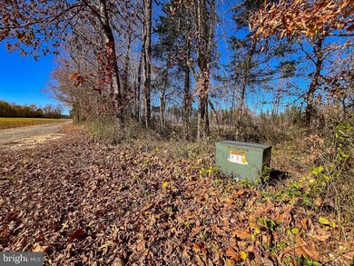 20.76 Bull Neck Rd, Supply, VA 22436 - photo 4